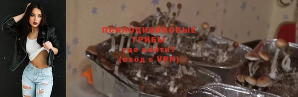 каннабис Аркадак