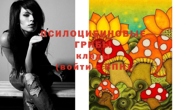 каннабис Аркадак